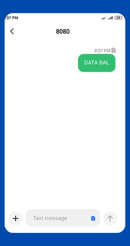 How To Check Balance in Globe Fast: With Free PDF Cheat Sheet! 6 how to check globe data balance