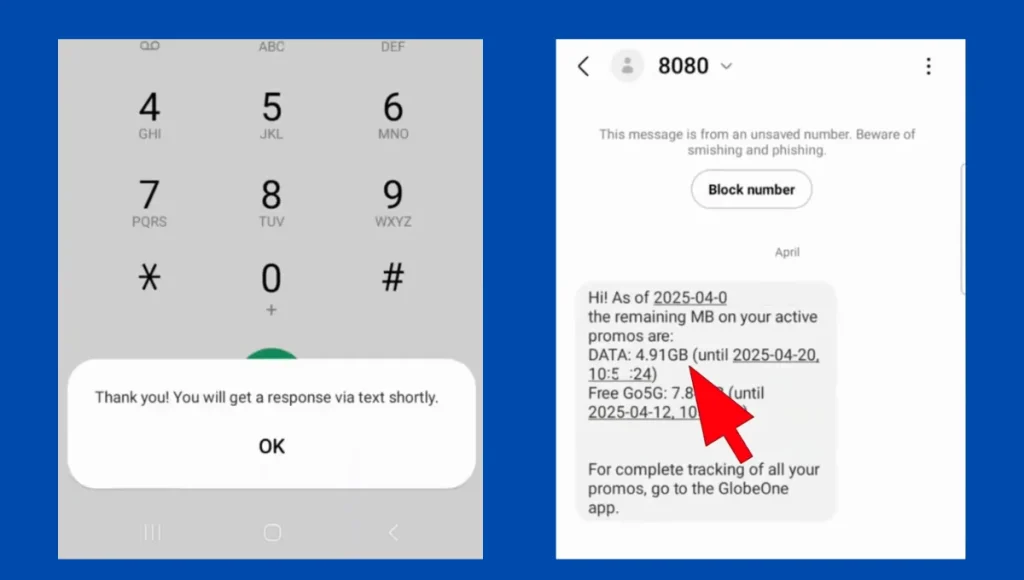 How To Check Balance in Globe Fast: With Free PDF Cheat Sheet! 5 globe data balance