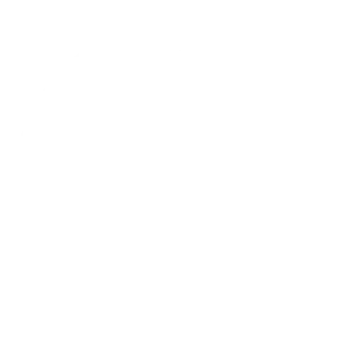 Globe sim registration logo